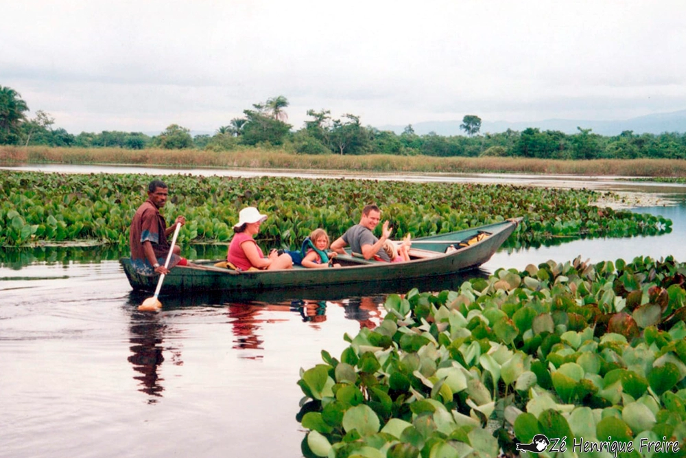 Passeio de canoa no Marimbus, o Pantanal da Chapada Diamantina, Bahia